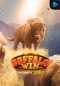 Buffalo Win Infinity Reels